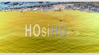 Algues Bleues Ou Vertes De Cyanobactéries Visibles En Surface Sur La Mer Baltique - Vidéo Drone