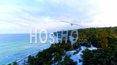 Pine Trees On Coastal Landscape, Wintertime, Sweden - Video Drone Footage