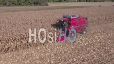 Récolte De Maïs - Vidéo Drone
