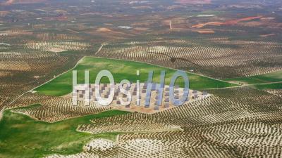Vue Aérienne D'une Installation Photovoltaïque (plan Large) Entourée D'oliveraies