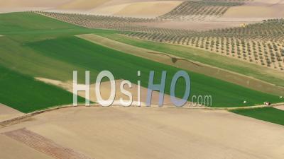 Aerial View Of (wide Shot) Green Fields, Olive Orchards And Rolling Hills