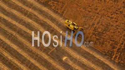 Aerial View Of Combine Harvester Working In Wheat Field