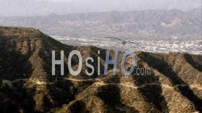 Vue Aérienne De Hollywood Et Des Collines De Hollywood