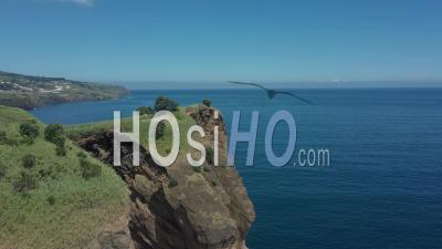 Éléphant Trunk Rock À San Miguel, Açores - Vidéo Drone