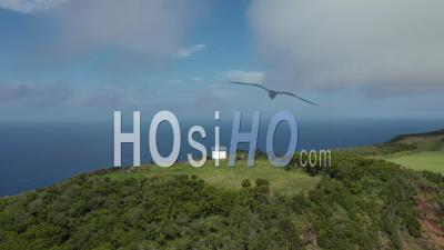 Observation Des Baleines Sur L'île San Jorge Aux Açores, Vidéo Drone