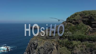 Côte Des San Miguel Des Açores Vidéo Drone