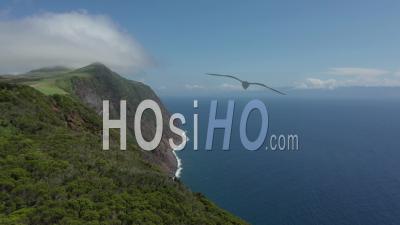 Falaise à San Jorge Island Azores, Vidéo Drone