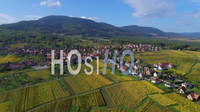 Alsacian Village Surrounded By Vineyards, Alsace, France - Video Drone Footage