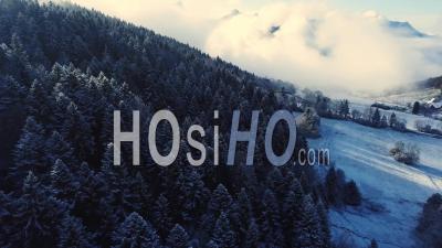Forest Under Snow, Savoy, France, Video Drone Footage