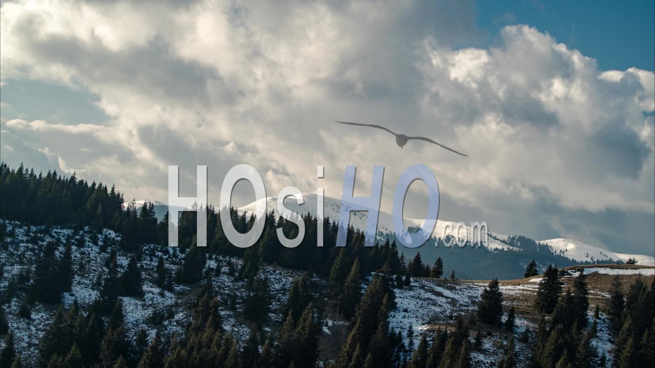 preview clip thumb
