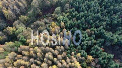 Huelgoat Forest In Brittany During Autumn - Video Drone Footage