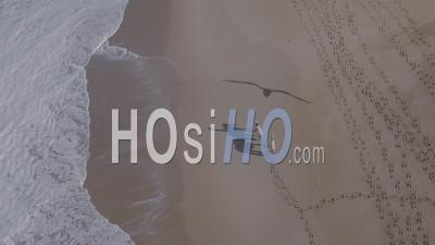 Shades Of A Horse Rider Passing By The Water With Her Two Horses - Aerial Video By Drone
