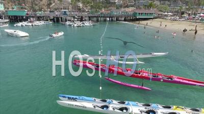 Outrigger Canoes - Video Drone Footage