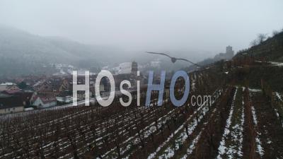 Kaysersberg Vineyards, In Winter, France – Video Drone Footage