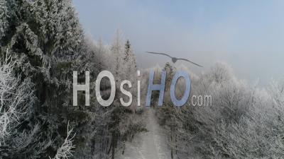 Snowy Landscape, Massif Des Vosges, France – Video Drone Footage