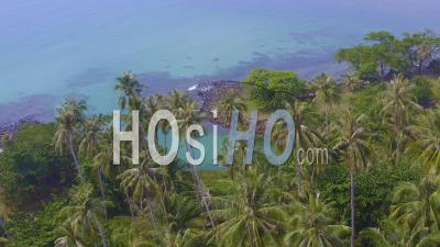 Coconut Trees At A River Mouth On Koh Mak - Video Drone Footage