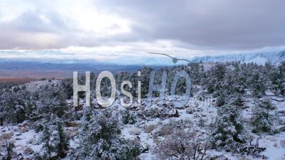 Vidéo Aérienne 2020 Sur Paysage D'arbres Gelés Et Montagne Couverte De Neige Dans Les Sierras Orientales Près De Bishop, Californie - Vidéo Par Drone