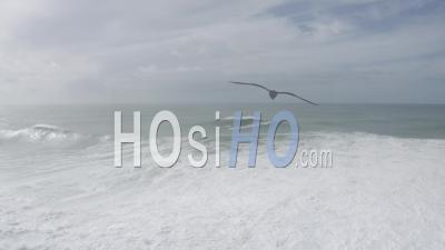 Big Wave In Praia Do Norte Nazare - Video Drone Footage