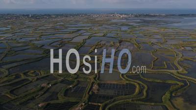 Guerande Salt Marshes Video Drone Footage