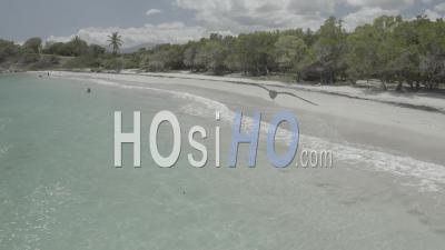 People Doesn't Respect Confinement On The Beach , Guadeloupe - Video Drone Footage