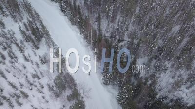 Homme Et Ours En Cours D'exécution Au Milieu De La Forêt De Sapins, Tackasen, Suède - Vidéo Drone