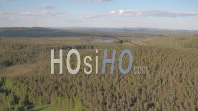 Aerial View Of A Helicopter Flying Above A Fir Trees Forest, Tackasen, Sweden - Video Drone Footage