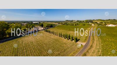 Aerial View Fronsac Vineyard Landscape, Vineyard South West - Aerial Photography