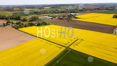 Aerial View Of Fields Of Colza - Aerial Photography