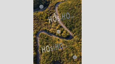 Aerial Topshot View Of A Forest Road In France - Aerial Photography