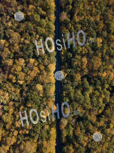 Aerial Topshot View Of A Forest Road In France - Aerial Photography