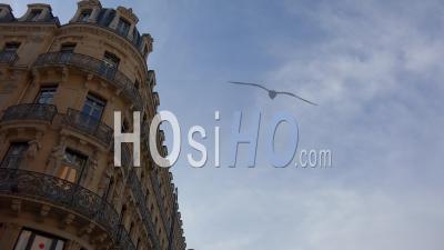 Toulouse City, Real Estate, Building, Apartment, Luxury, City Center, Real Estate, Architecture