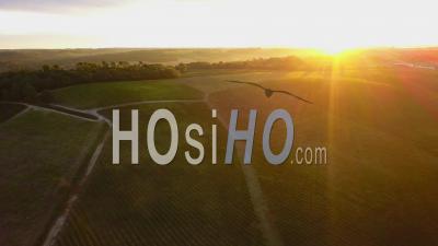 Lever Du Soleil Sur Le Vignoble Et Le Paysage, Vidéo Drone