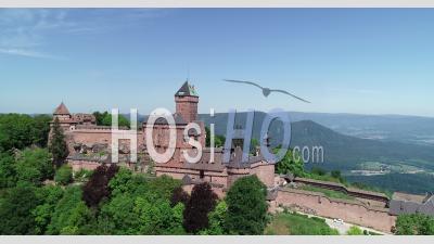 Haut-Koenigsbourg Castle Large Fly By Drone View