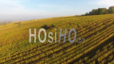 Hunawihr Vineyards - Video Drone Footage