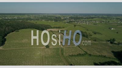Vineyard Of Bourgueil, France, In A Spring Afternoon - Video Drone Footage