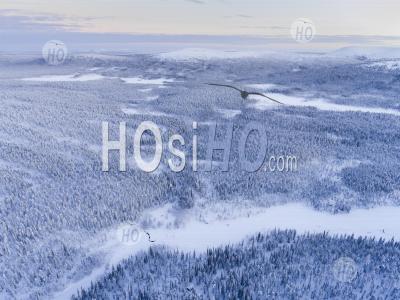 Aerial Of Frozen River And Snow Covered Forest Winter Landscape Showing Amazing Lapland Scenery In Scandinavia In Finland - Aerial Photography