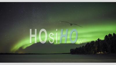 Northern Lights Timelapse Of Bright Green Aurora Borealis In The Night Sky, With Stars. Time Lapse Over Remote Landscape Of Frozen Lake And Forest In Lapland, Finland