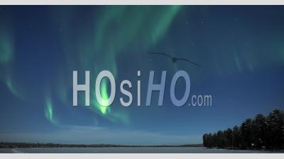 Aurora Borealis Time Lapse Of Northern Lights Sur Paysage De Lac Gelé Pendant La Nuit. Timelapse En Laponie, Finlande