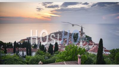 Timelapse Of Slovenia At Piran Old Town With Mediterranean Sea And Traditional Red Rooftops. Elevated Time Lapse View Of Slovenian Coast Scenery At Sunset