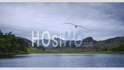 Timelapse Du Paysage Du Parc National Du Lake District. Laps De Temps 4k Au Lac Blea Tarn En Cumbrie, En Angleterre Avec Des Nuages Se Déplaçant Sur Une Journée Nuageuse