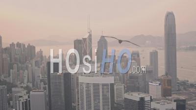 Skyscrapers In The Hong Kong City Skyline At Sunset. Aerial Drone View