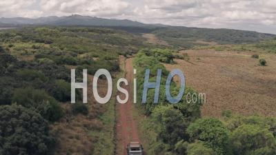 Driving In Aberdare National Park, Kenya, Africa. Aerial Drone View Following