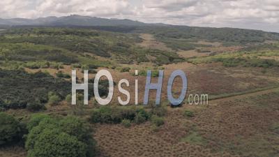 Driving In Aberdare National Park, Kenya, Africa. Aerial Drone View