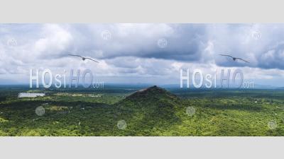 Pidurangala Rock, Vu Du Haut Du Rocher De Sigiriya, Sri Lanka