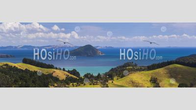 Coast Near Coromandel Town, Coromandel Peninsula, New Zealand North Island