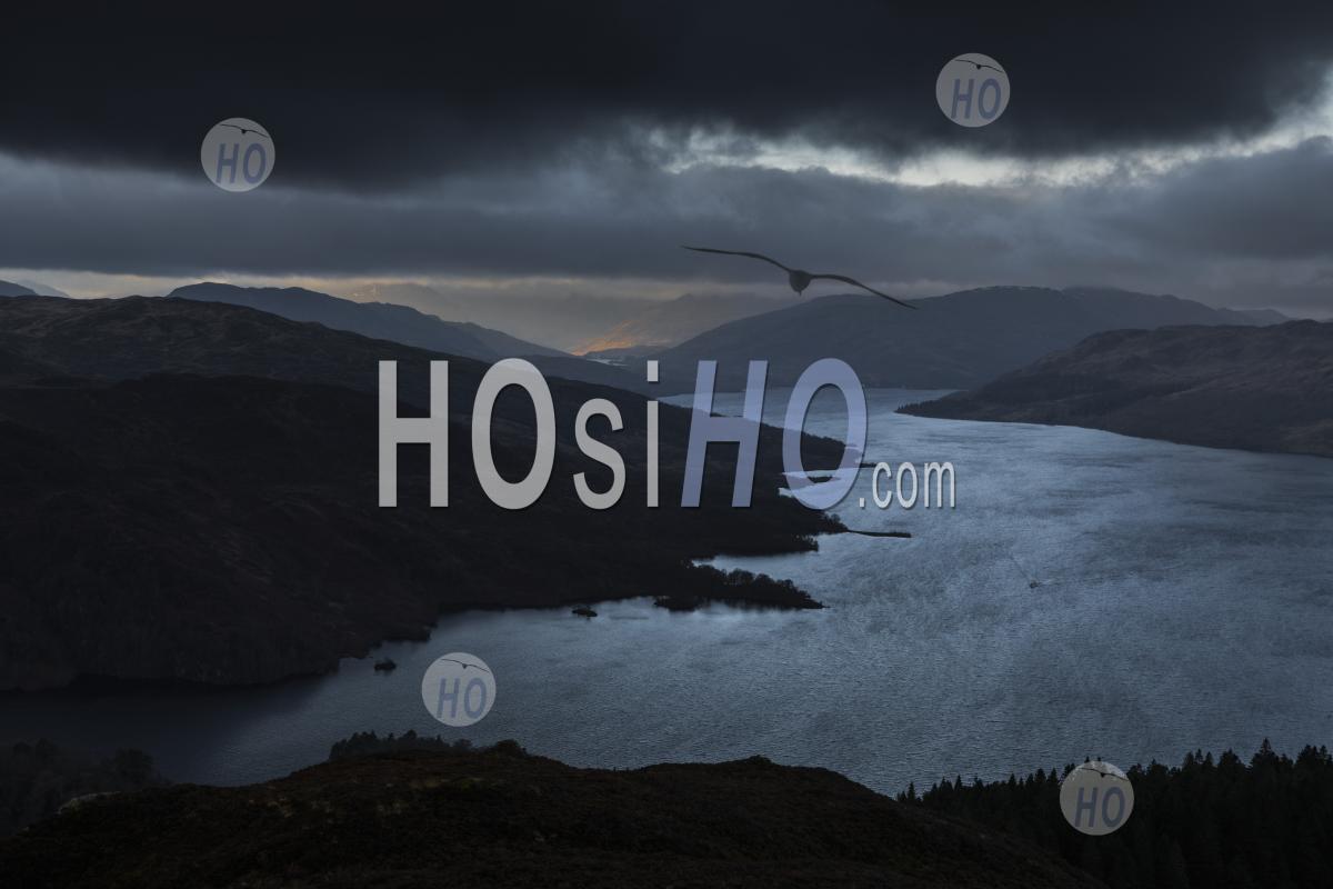 Loch Katrine Vu Du Sommet De Ben A'an, Loch Lomond Et Le Parc National Des Trossachs, Highlands, Ecosse, Europe