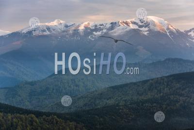Carpathian Mountains At Ranca At Sunrise, Parang Mountains, Oltenia Region, Romania, Background With Copy Space