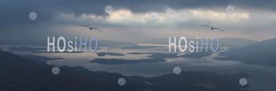 Îles Loch Lomond à L'aube, à Ben Lomond Dans Le Parc National Des Trossachs, Highlands, Ecosse, Royaume-Uni, Europe