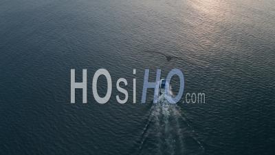 Bateau De Pêche En Haute Mer Au Lever Du Soleil Dans L'océan Indien à Watamu, Malindi, Kenya. Vidéo Aérienne Par Drone