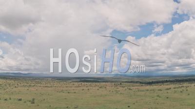 African Savanna And Plains Landscape In Laikipia, Kenya. Aerial Drone View